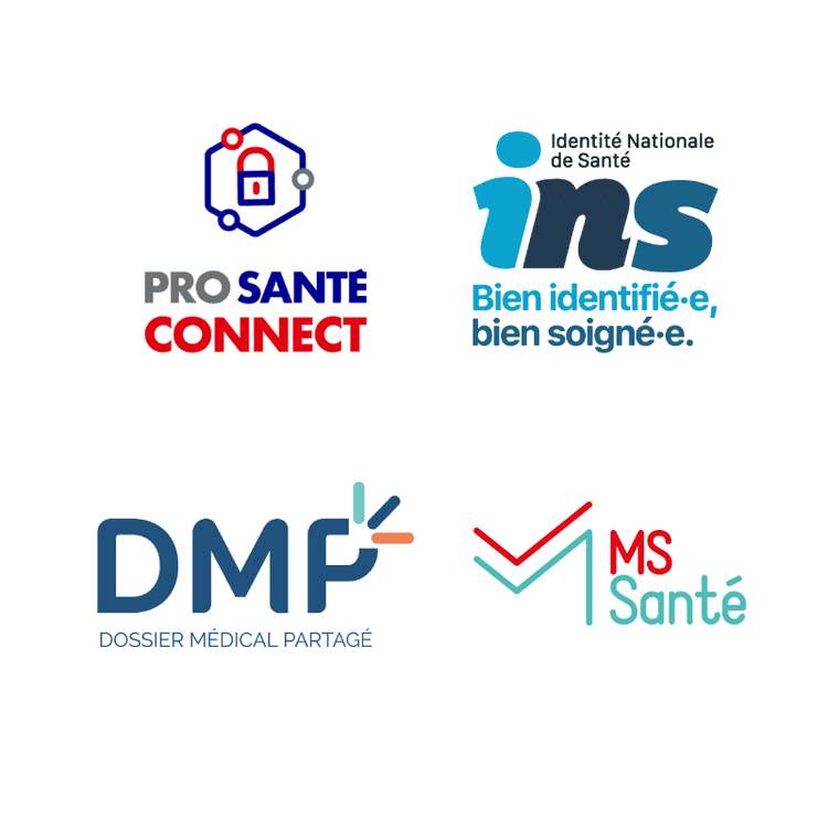 Logo des services socles INS, DMP, MSS, DMP, Pro Santé Connect